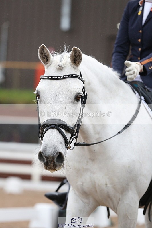 240217A-090543-00188 - 196-Anya.Hitt-Cnoc.an.noinin.Clover