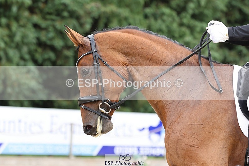 240810-134800-03506 - 178-Joe.Roome-Acqua.Marina.Della.Caccia