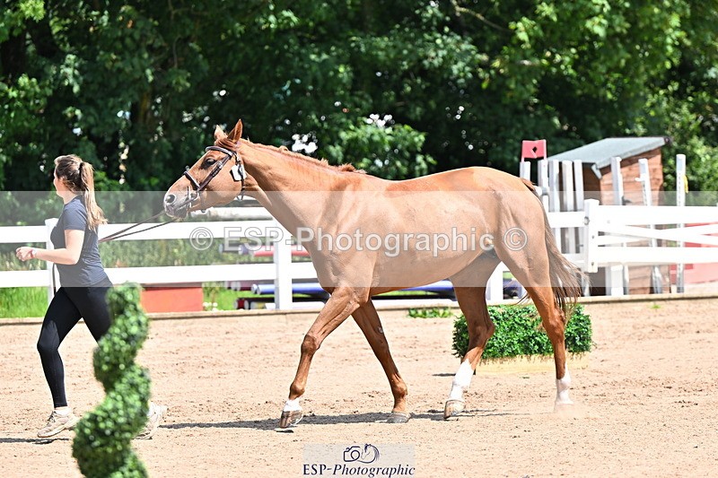 240718A-105245-01124 - Trot Up 12pm to 1pm