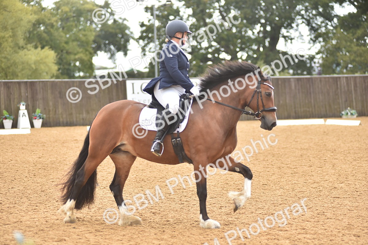 SBM_02086 - D7 - Small Tour Championship Prelim 2