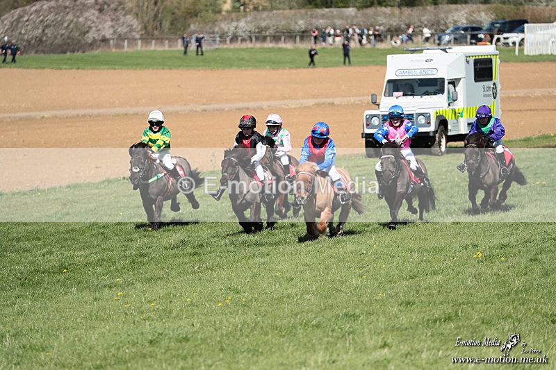 Shet 060426 247 - Shetland Pony Racing Paxford Races Easter Mon 06/04/26