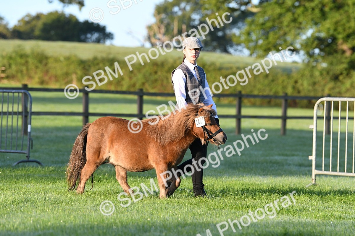 SBM_32439 - S15 - Condition & Turnout In Hand