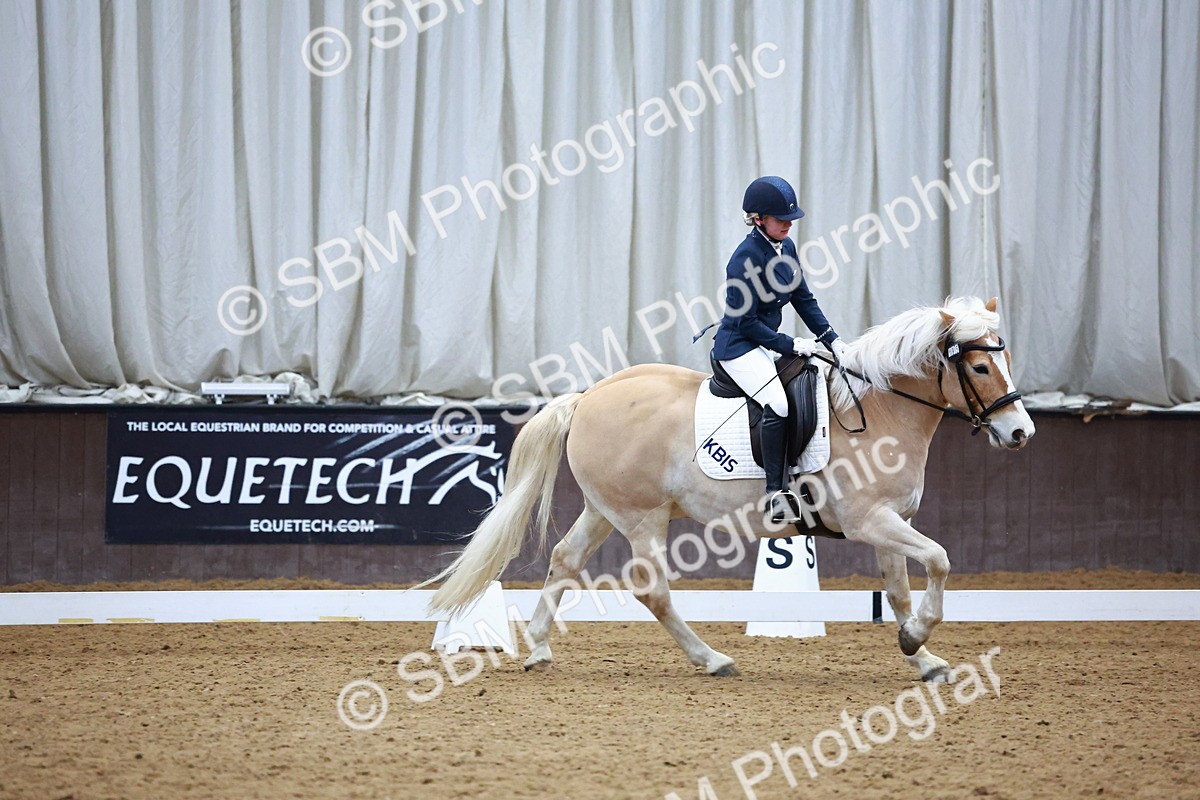 SBM_002890 - Novice Music