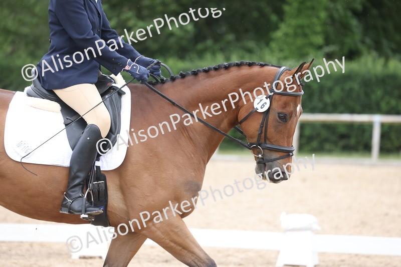 20260606-0646 - Class 5 - Novice 1