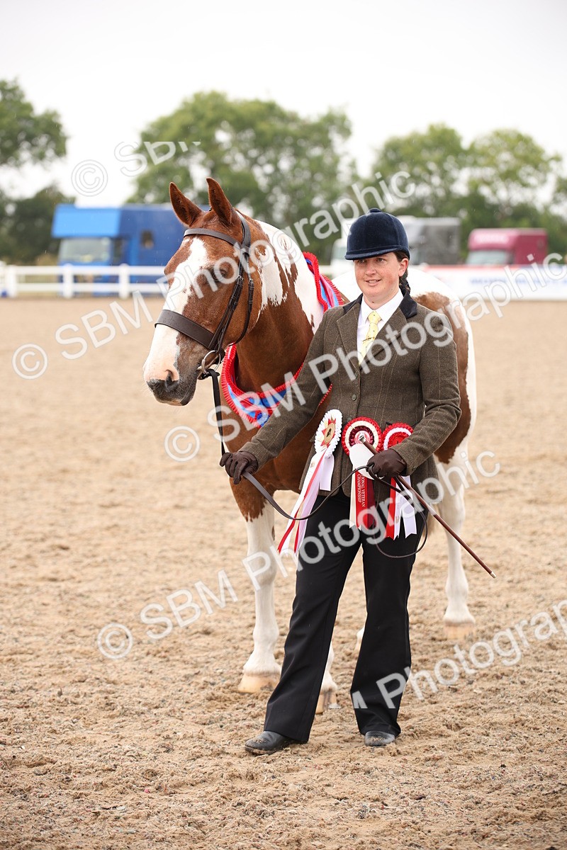 SBM_20146 - Class 702 - IH  Show Horse Pony
