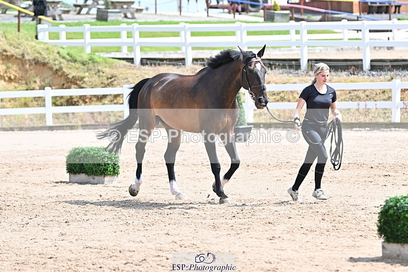 240717A-145236-02360 - Trot Up 2pm to 3pm - This folder is not in time order