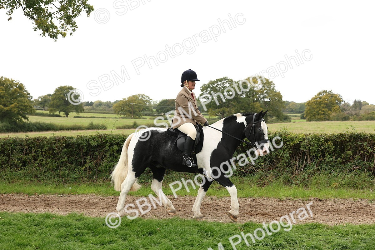 SBM_67221 - S67 - Piebald & Skewbald Horse Ridden