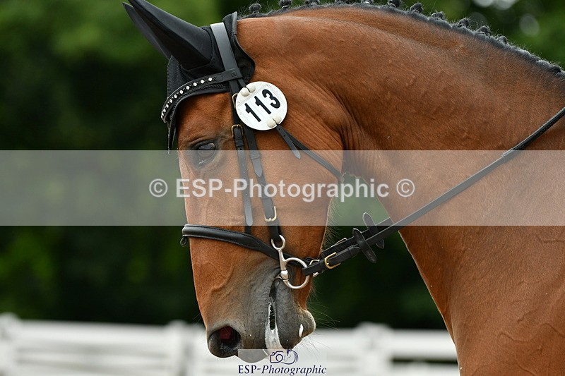 230630A-120214-01764 - Cls 7 Elementary 45