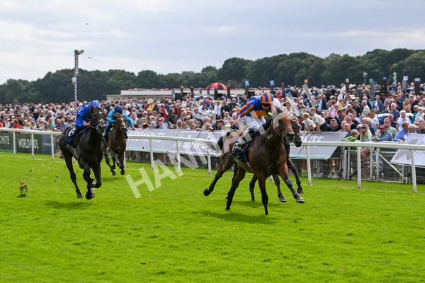 210824-Race 2-The Lion In Winter-4738 - Race 2 2.25pm Tattersalls Acomb Stakes