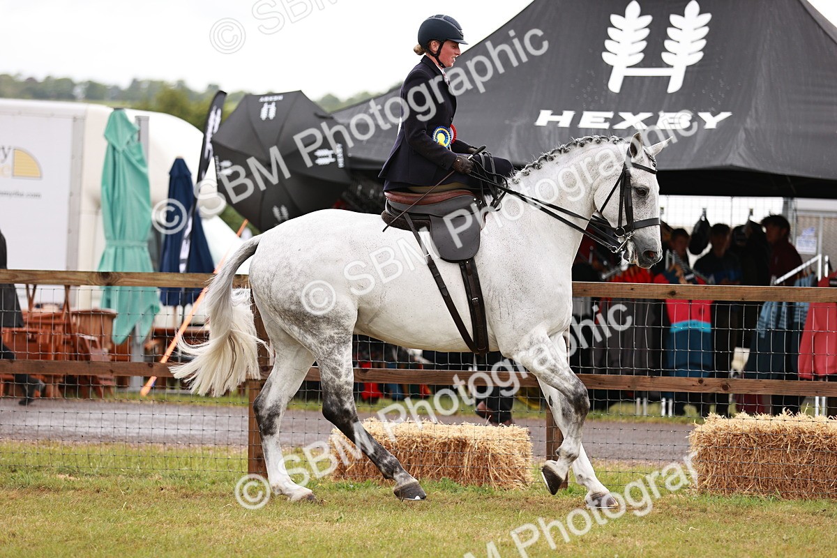 SBM_11015 - Class 81-84 - RIHS Ridden hunters Inc Ladies Hunter