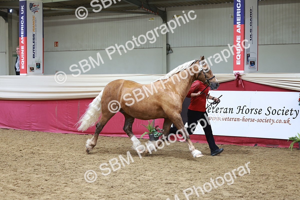 SBM_17445 - Class 951 - M&M IH Supreme Final