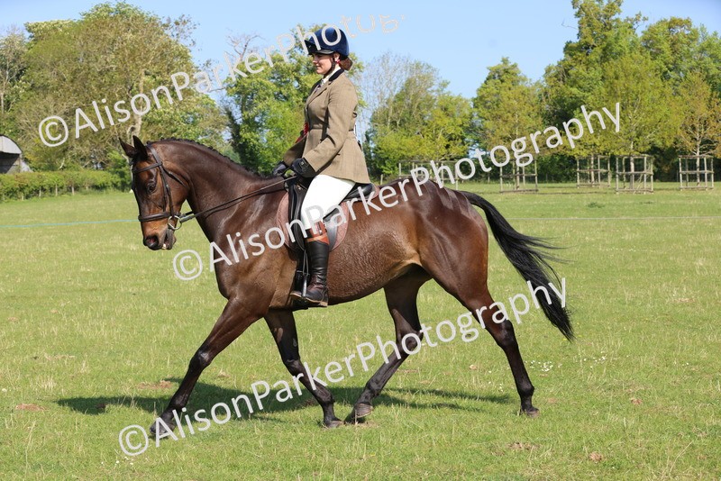 20250427-0600 - Class 17 - Novice Showing