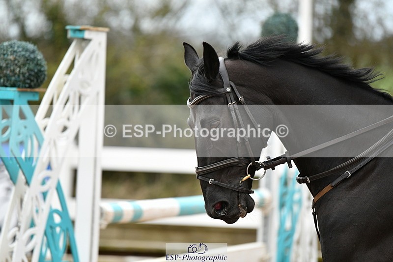240317A-114636-06033 - Cls 32 95cm National Amateur Quali