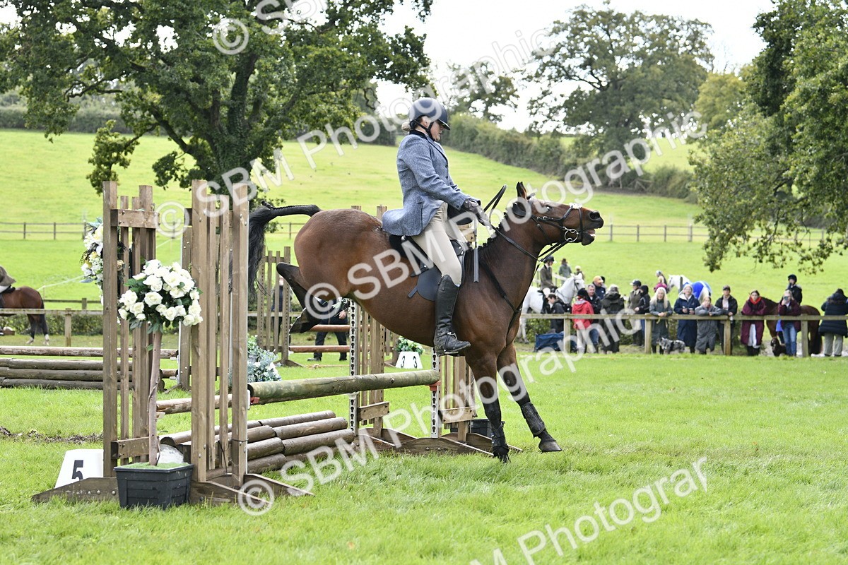 SBM_45627 - S33 - Working Hunter Pony