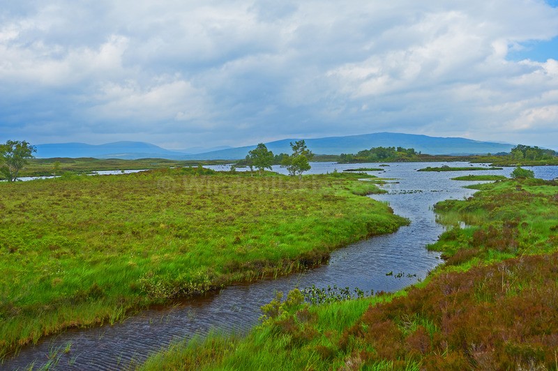  - Scotland