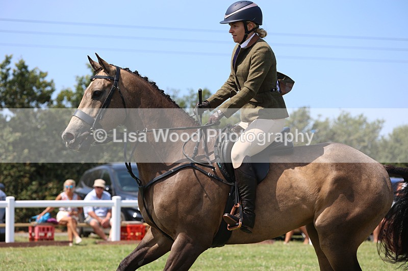 JPP_3125 - Class 22: Working Hunter 70cm