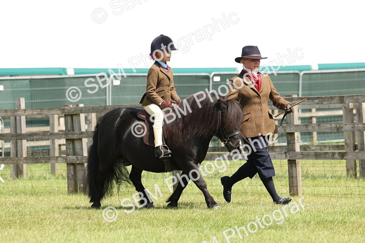 SBM_05189 - Class 24-25 - Mountain & Moorland In Hand Lead Rein and First Ridden