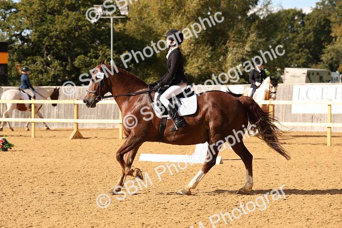 SBM_10604 - D9 - Small Tour Championship Prelim 3