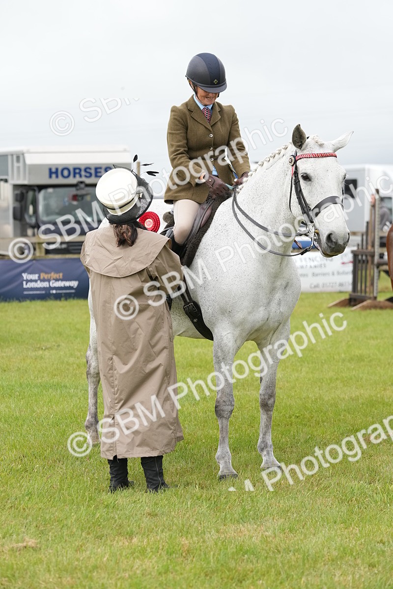 SBM_10641 - Class 97-98 - LIHS BSHA Rising Star Working Show Horse Hunter