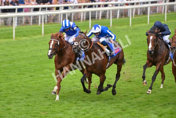 yr24072021r3-18 - Race 3 3.15pm Sky Bet York Stakes