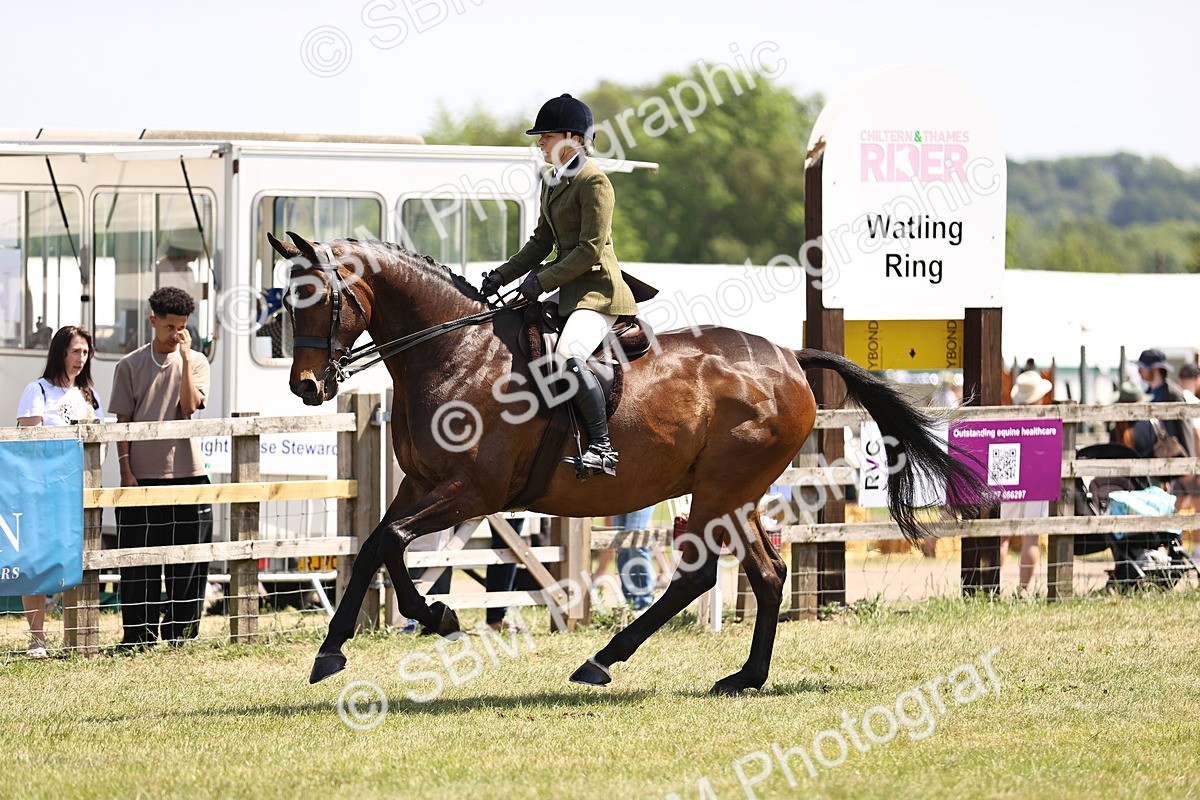SBM_15145 - Class 79-80 - LIHS BSHA Rising Star Ridden Hunter
