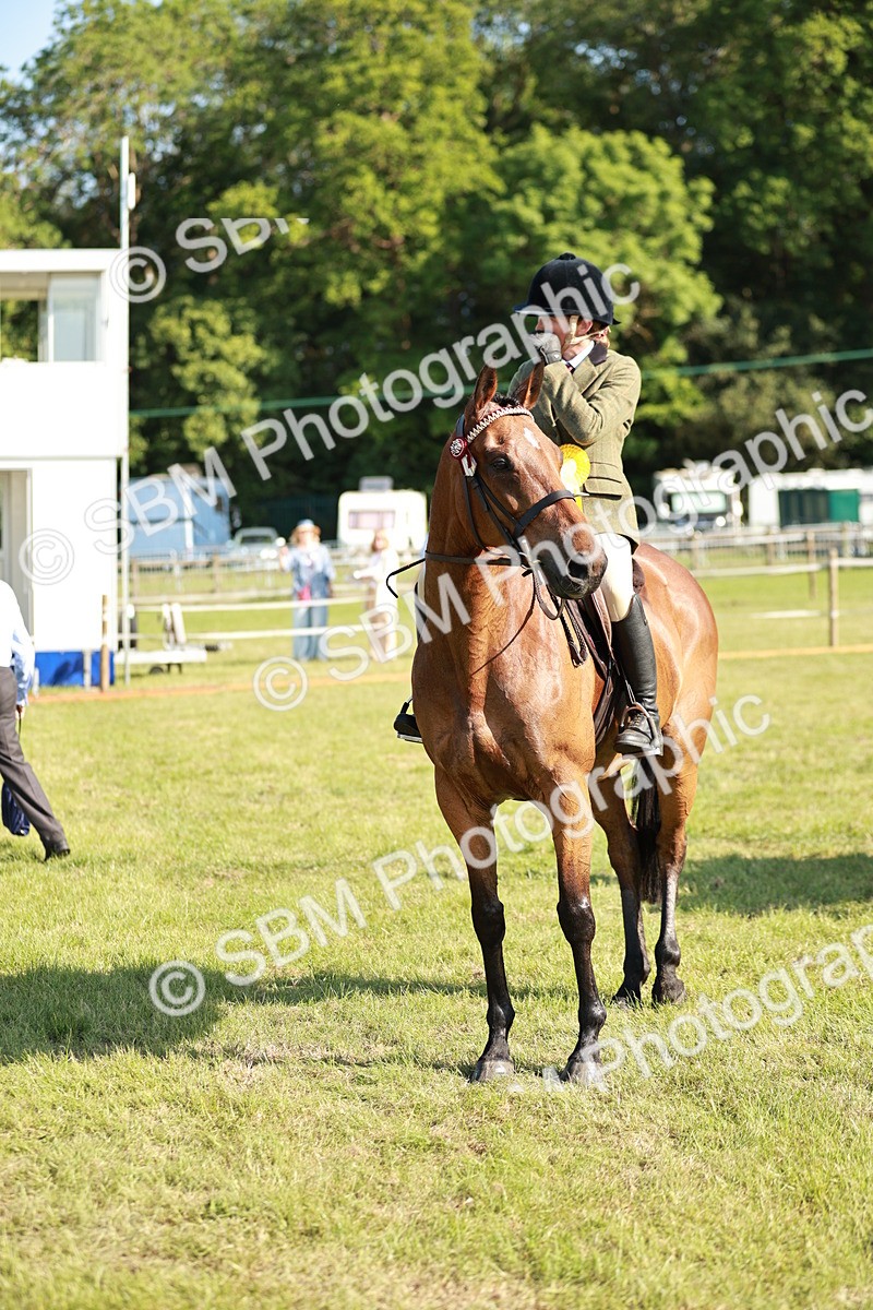 SBM_19331 - Class 115-116 - LIHS BSHA Rising Star Working Hunter & Show Horse