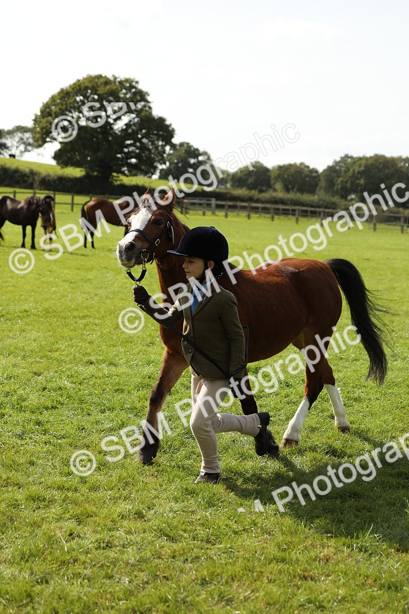 SBM_67775 - S39 - Junior Handler 8  Years & Under