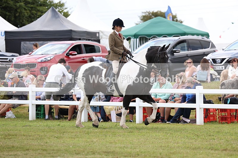 3E7A1847 - Class 10: Open Cob