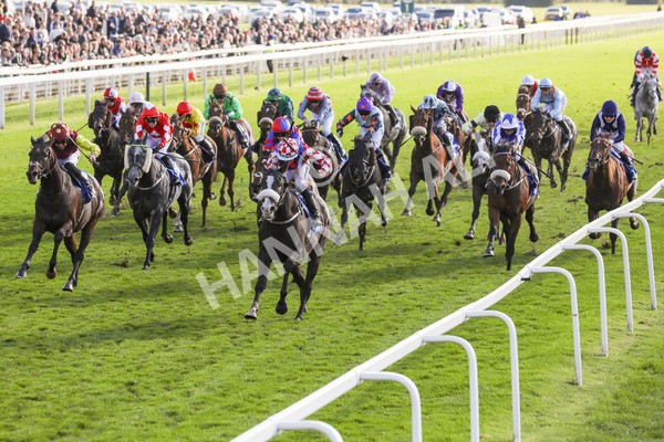 121024-Race 3-Strike Red-7261 - Race 3 Coral Sprint Trophy Handicap