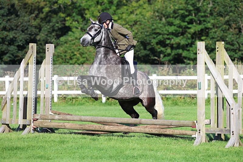 3E7A7531 - Class 1: Novice Working Hunter Pony
