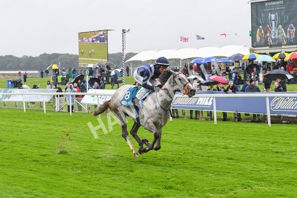 140723-Race 3-Symbology-0282 - Race 3 3.15pm William Hill Keep Your Raceday Positive Irish EBF Fillies' Novice Stakes