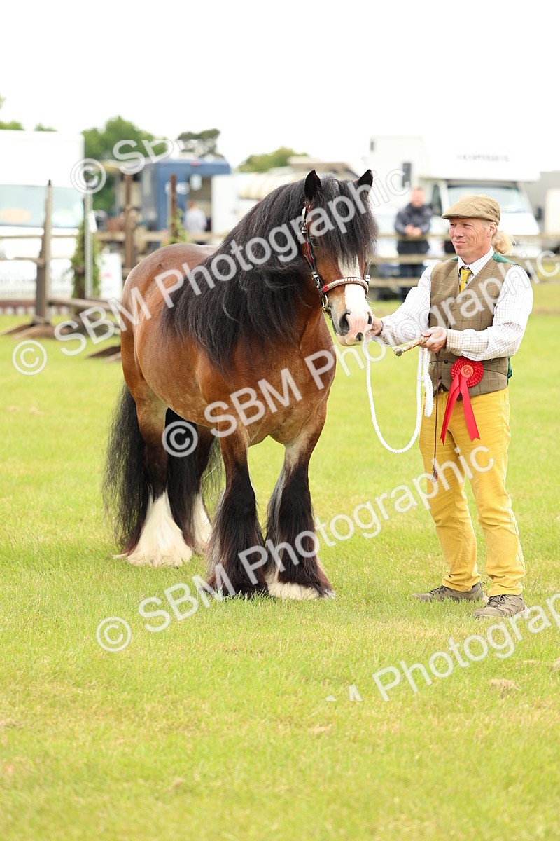 SBM_06298 - Class 39-41 TGCA In Hand and Ridden