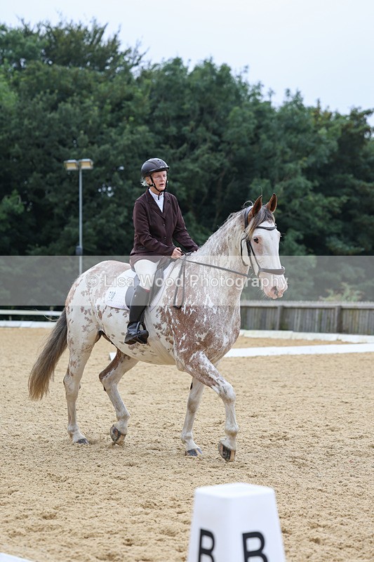 3E7A4902 - Class 1: Intro 4 2024 section A