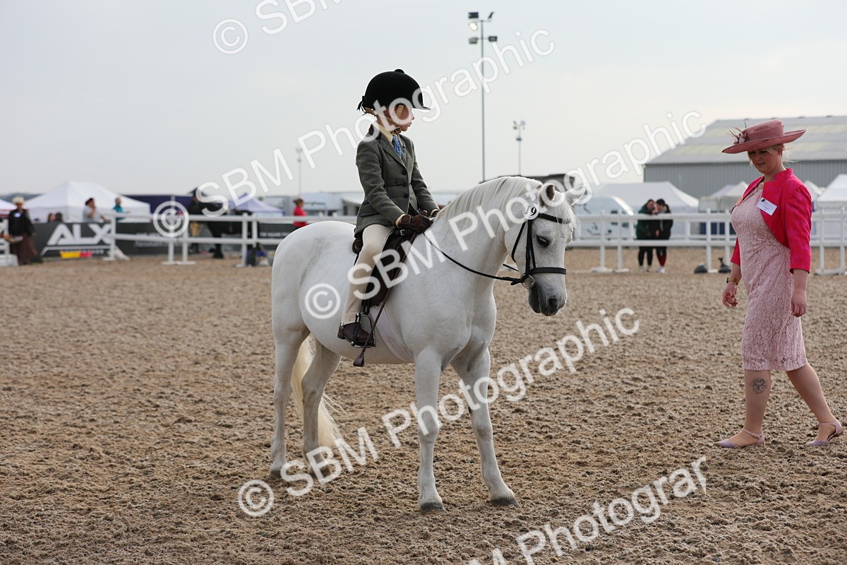 SBM_09644 - Class 301 Ridden M&M -Small Breeds