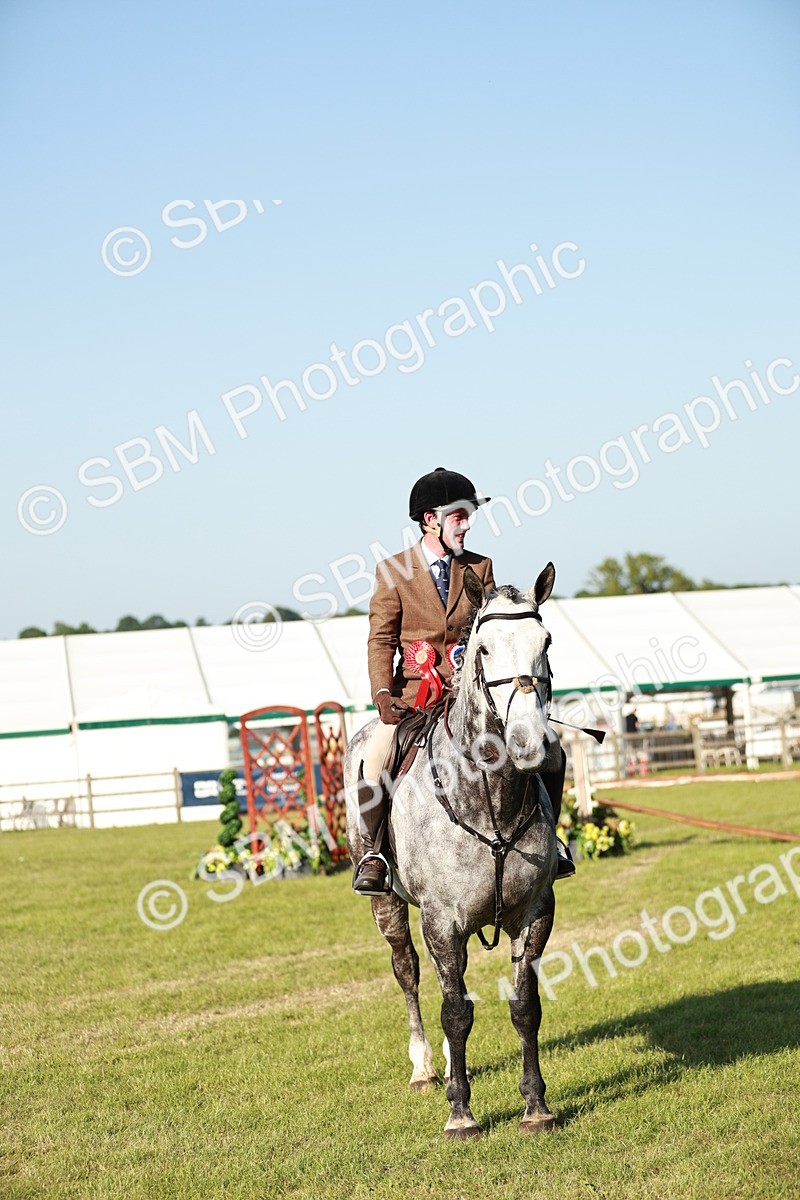 SBM_20122 - Class 115-116 - LIHS BSHA Rising Star Working Hunter & Show Horse