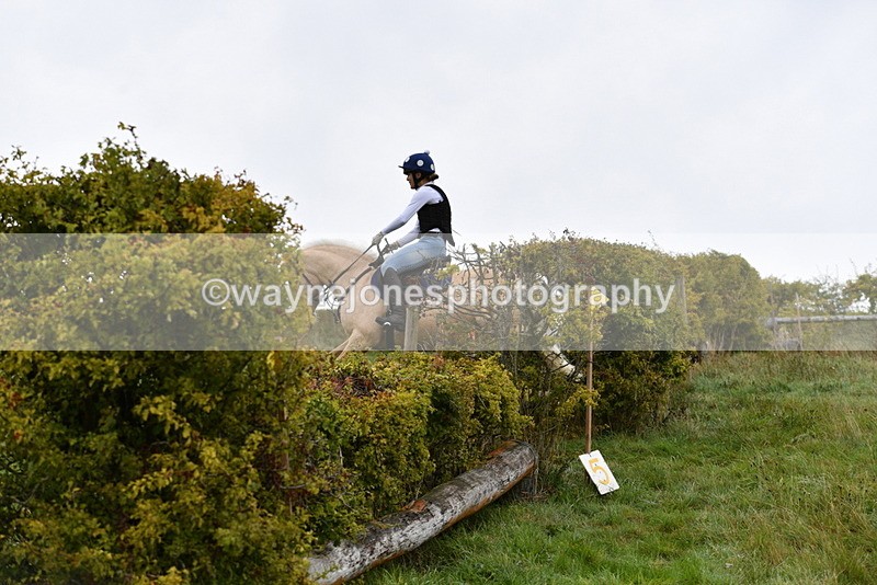 WJ5_5596 - Time 10:05 to 10:30  (3 cameras)