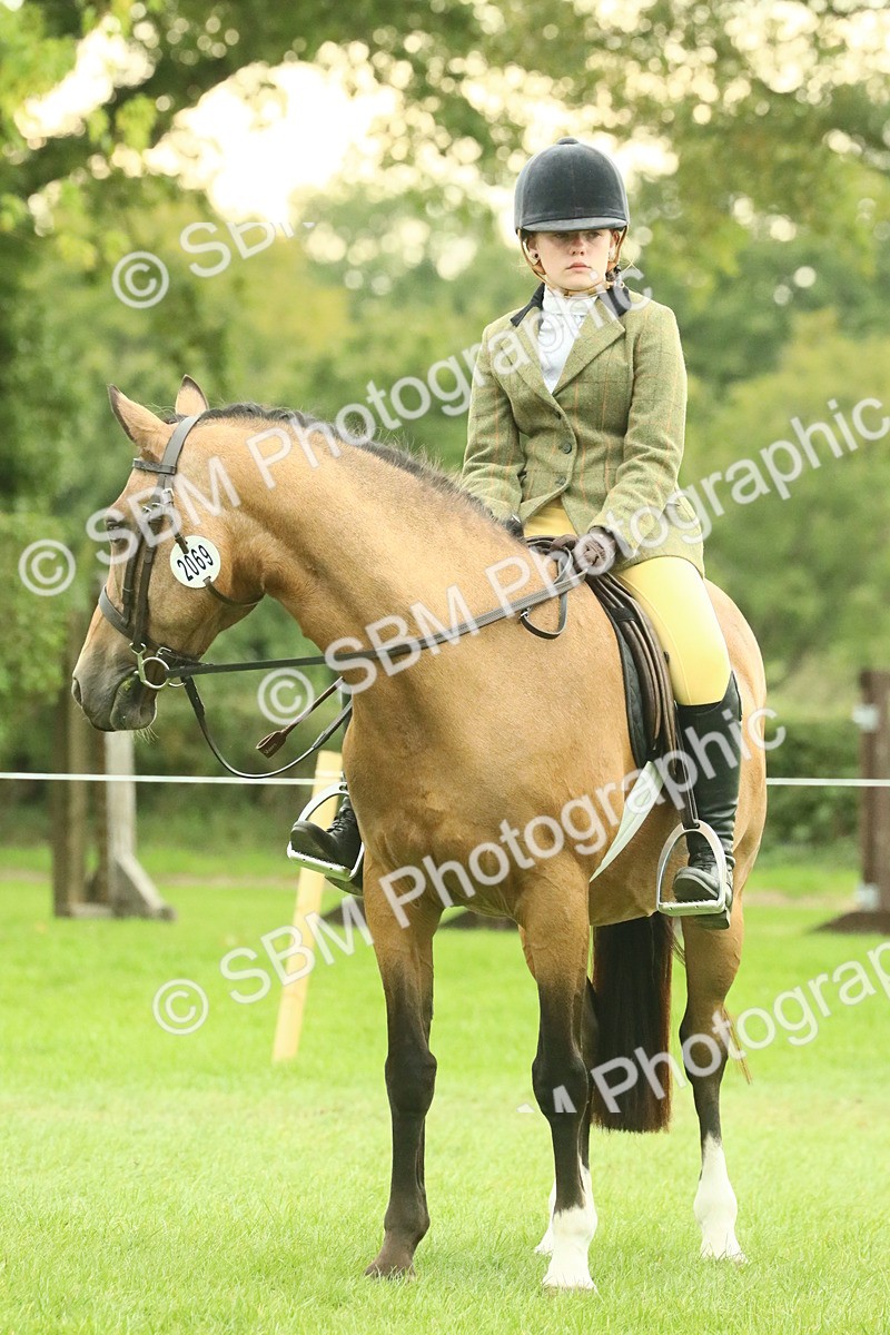SBM_74029 - S 61 - Show Pony & Show Hunter Pony Ridden