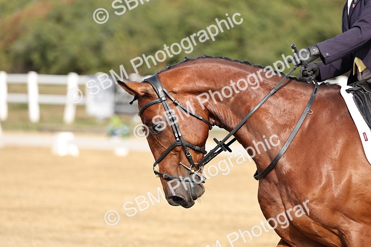 SBM_017439 - Class 12-14 - Intro 2-Prelim 5