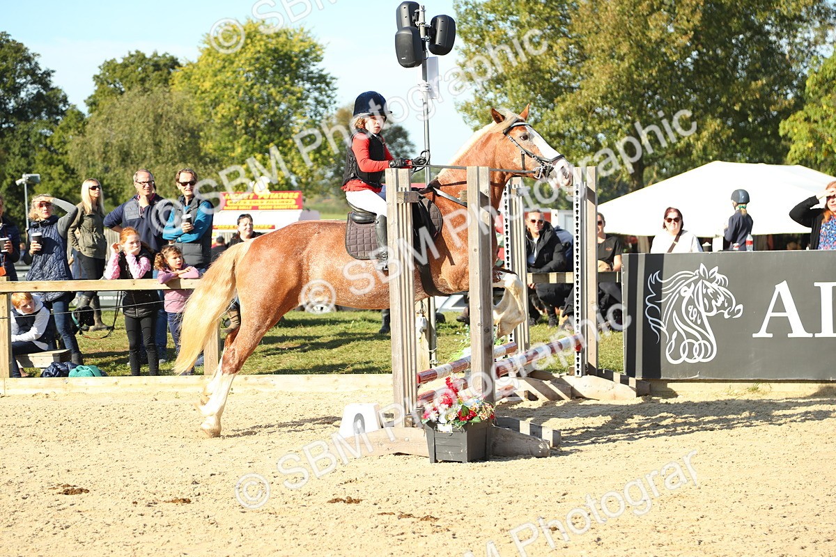 SBM_35867 - J5 - Junior Pony 50cm Championship
