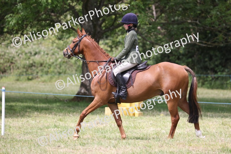 20260614-2124 - Class 21 - Novice Working Hunter Pony