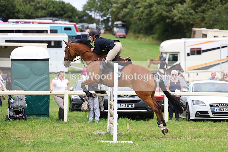 3E7A7109 - Class 5: Senior British Novice/90cm open