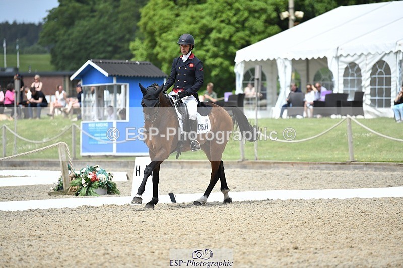 230525-115333-01920 - 104-GALAKIS_DE_L'OCEAN-Harry_Meade-WEDTrotUp+DR