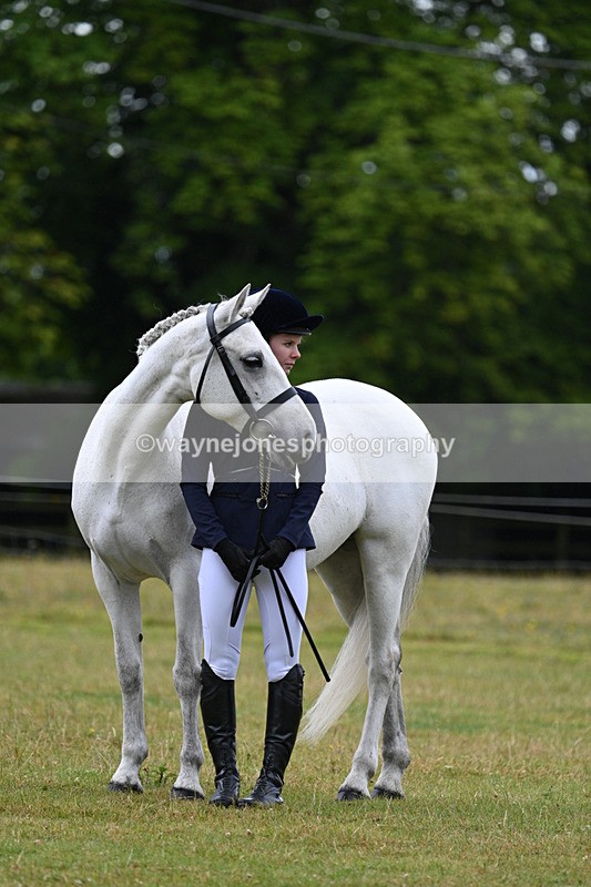 WJ7_6352 - Class 4a Prettiest Mare over 14hh