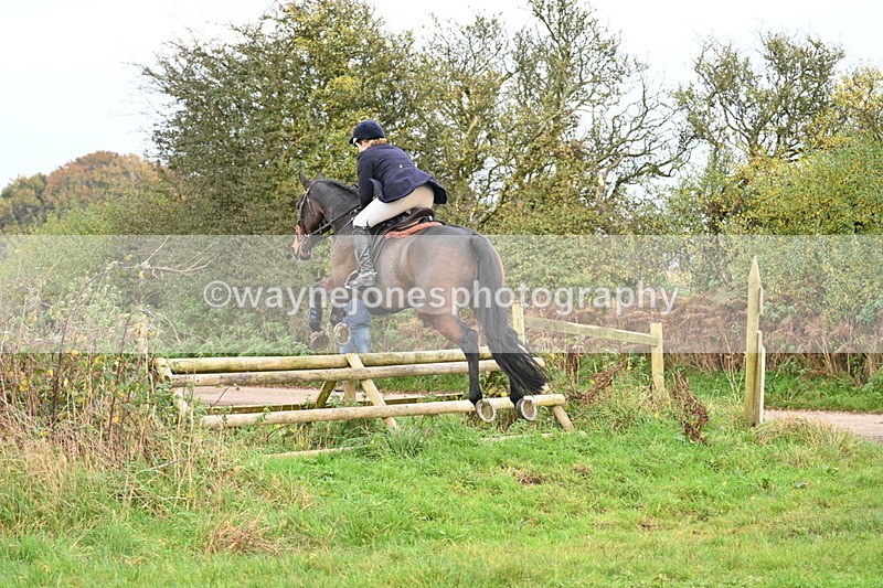 WJ7_0280 - Camera 1 & Last fence