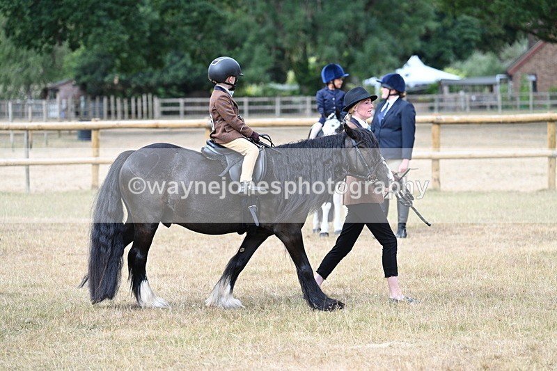 WJ7_6691 - Class 1 Lead Rein Pony