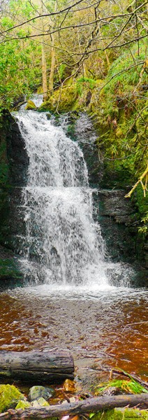 Frith Waterfall 2 Bwlchgwyn - Waterfalls