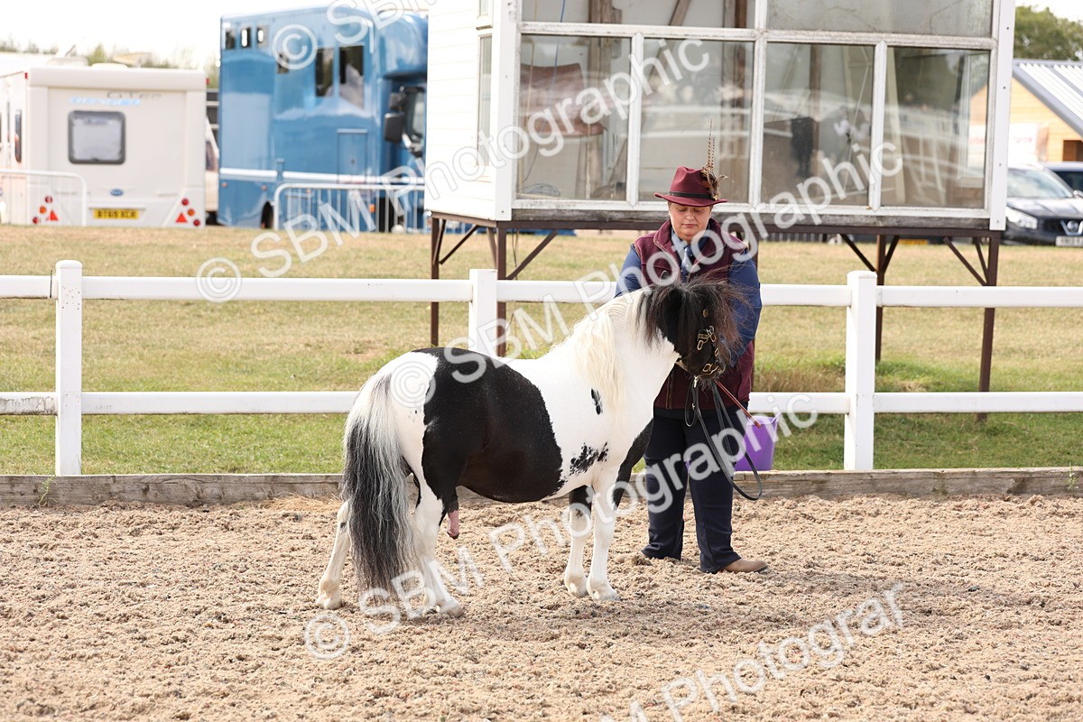 SBM_15100 - Class 209 - IH Veteran Pony