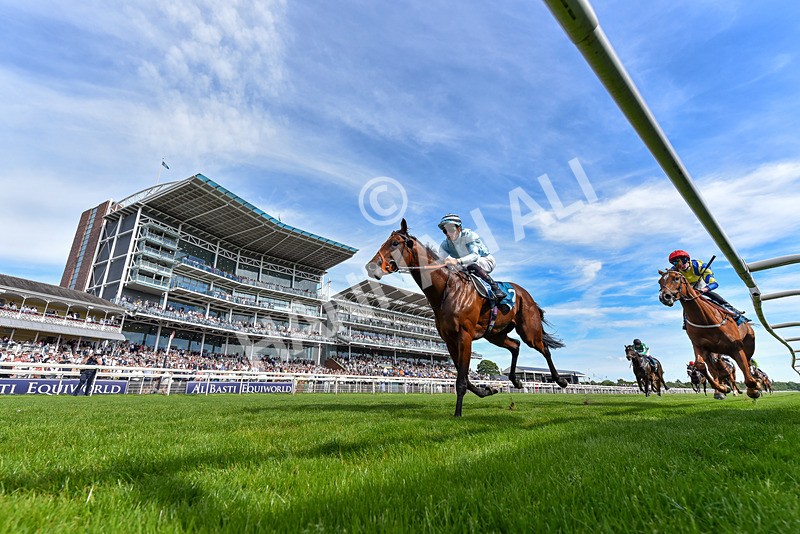 230526-Race 6-Pearl River-8639 - Race 6 16.25pm Royal Yorkshire Regiment Handicap