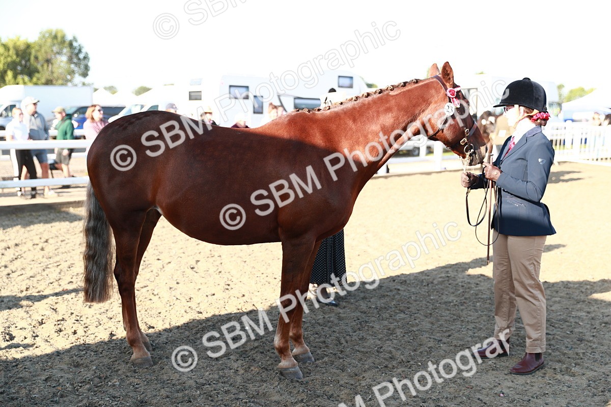SBM_00049 - Class 40 Best Turned Out IH