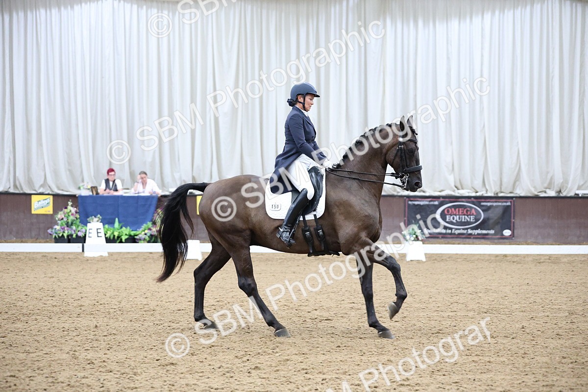 SBM_004723 - Class 9 - FEI Inter 1 Gold - 16.59-17.47
